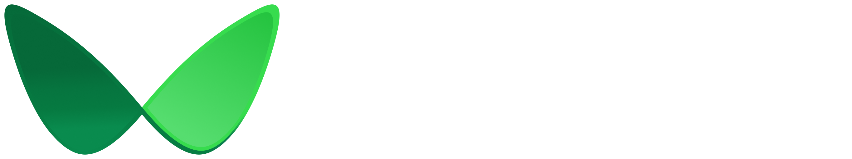 Wallester Logo